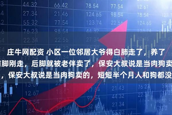 庄牛网配资 小区一位邻居大爷得白肺走了,养了13年的哈士奇,大爷前脚刚走,后脚就被老伴卖了,保安大叔说是当肉狗卖的,短短半个月人和狗都没了