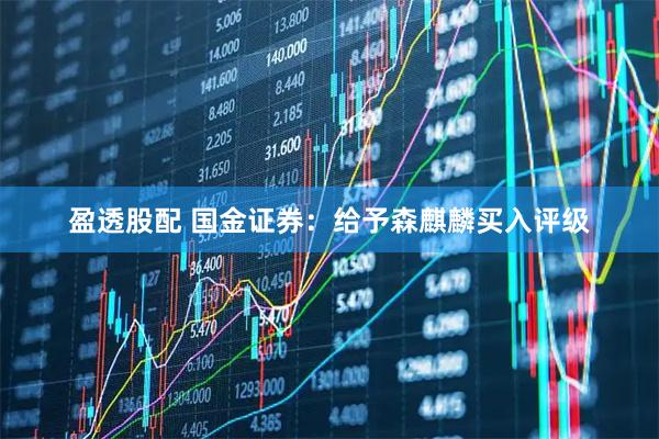 盈透股配 国金证券:给予森麒麟买入评级