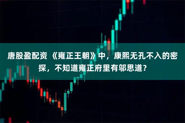 唐股盈配资 《雍正王朝》中,康熙无孔不入的密探,不知道雍正府里有邬思道?