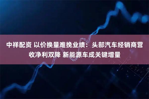 中祥配资 以价换量难挽业绩:头部汽车经销商营收净利双降 新能源车成关键增量